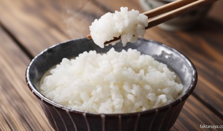 Bukan Makan Nasi – Bila Terasa Lapar Ternyata ini Menu Sarapan Terbaik di Pagi Hari