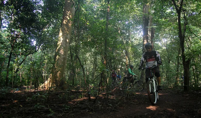 Key Strategy: WWF Indonesia Sambut Penambahan 70 Ribu Forest Ranger Oleh Menhut, Dinilai Perkuat Perlindungan Hutan