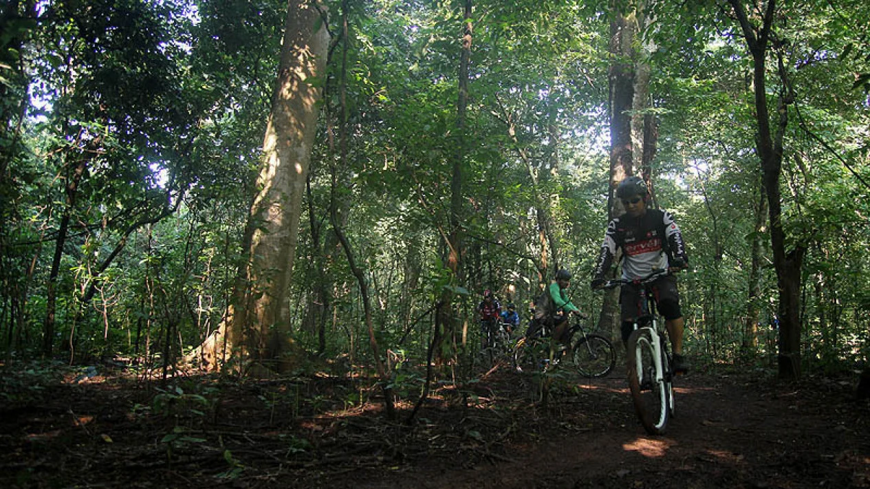 Key Strategy: WWF Indonesia Sambut Penambahan 70 Ribu Forest Ranger Oleh Menhut, Dinilai Perkuat Perlindungan Hutan