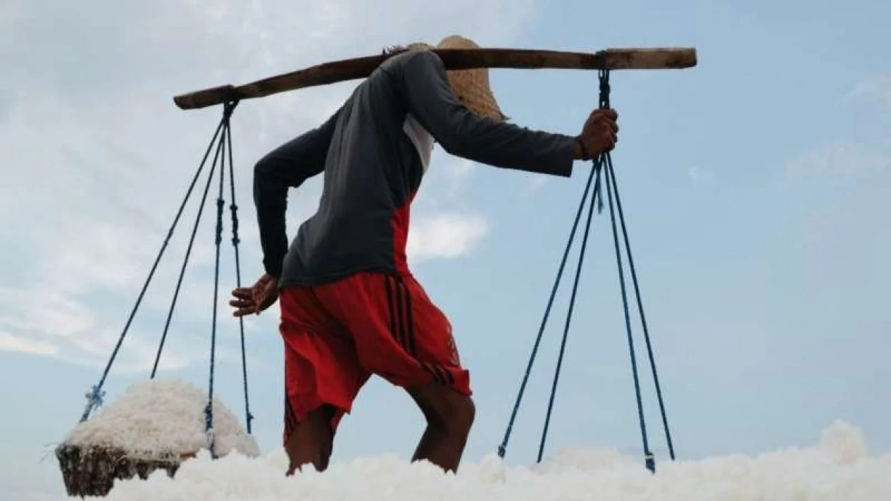 Impor Garam Naik di Awal Tahun 2026 – Pemerintah Didorong Batasi Kuota Tambahan