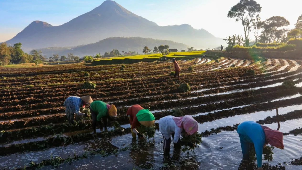 Meeting Results: Kopdes Merah Putih Bakal Jadi Penjamin dan Penyalur Hasil Panen Beras-Jagung