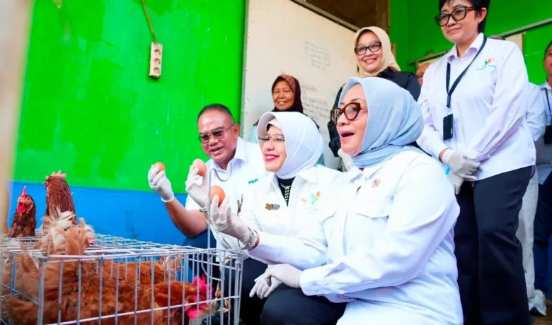 Meeting Results: Menteri PPPA dan Kepala BPS Apresiasi Pemberdayaan PNM untuk Usaha Ekonomi Sirkular