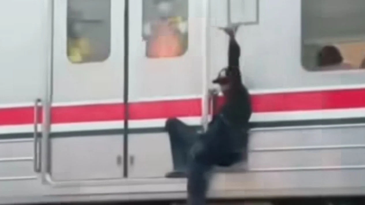 Viral Pria Nekat Gelantungan di Gerbong KRL Jurusan Tanjung Priok, KAI Commuter Langsung Blacklist!