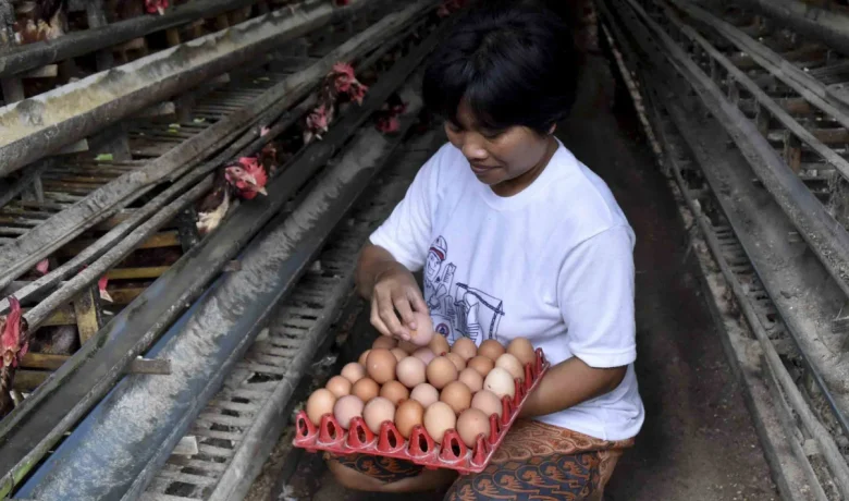 Punya Modal Rp1 Juta? Ini 12 Ide Bisnis yang Bisa Jadi Sumber Cuan Setiap Hari