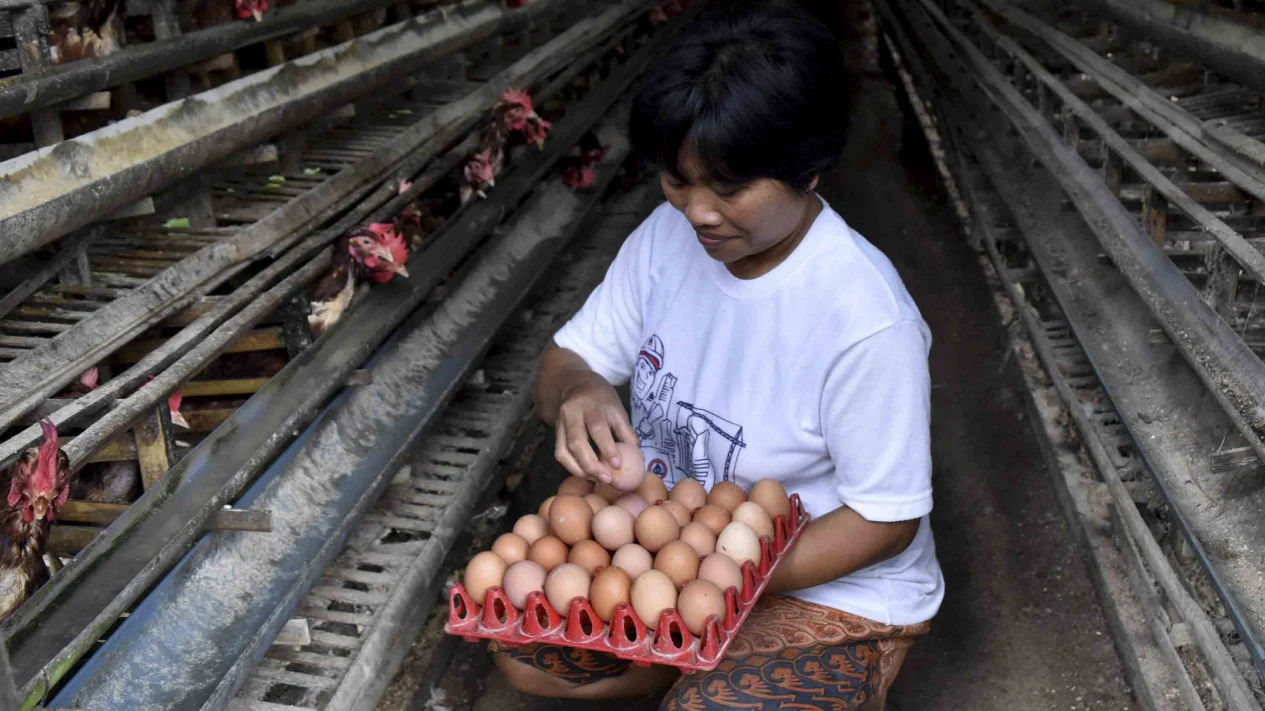 Punya Modal Rp1 Juta? Ini 12 Ide Bisnis yang Bisa Jadi Sumber Cuan Setiap Hari