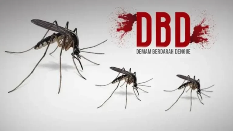 660b90e21dfb2-status-dbd-meningkat-di-jakarta-warga-diminta-bersihkan-rumah-sebelum-pergi-mudik_1265_711