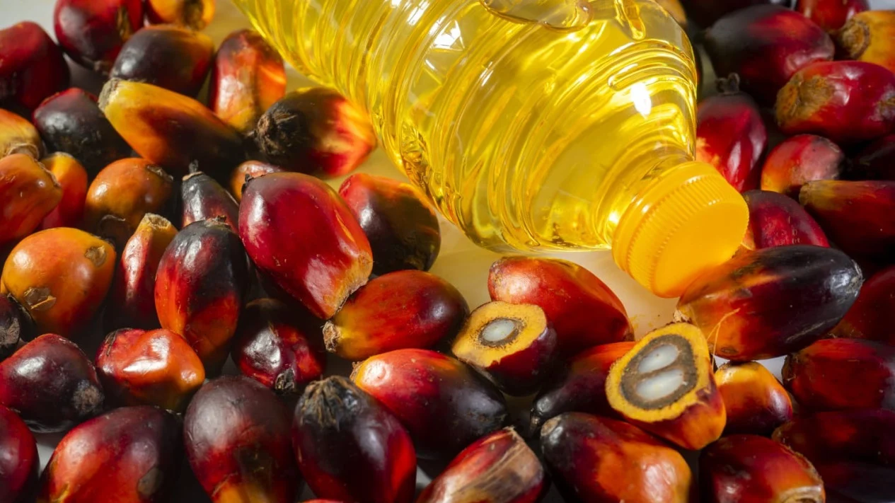 Harga Minyak Goreng, Beras, Gula dan Daging Sapi Stagnan, Cek Daftar Lengkapnya
