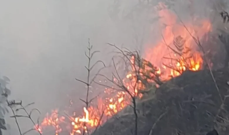BNPB: Luas Lahan yang Terbakar di Kawasan Gunung Bromo Capai 60 Hektare