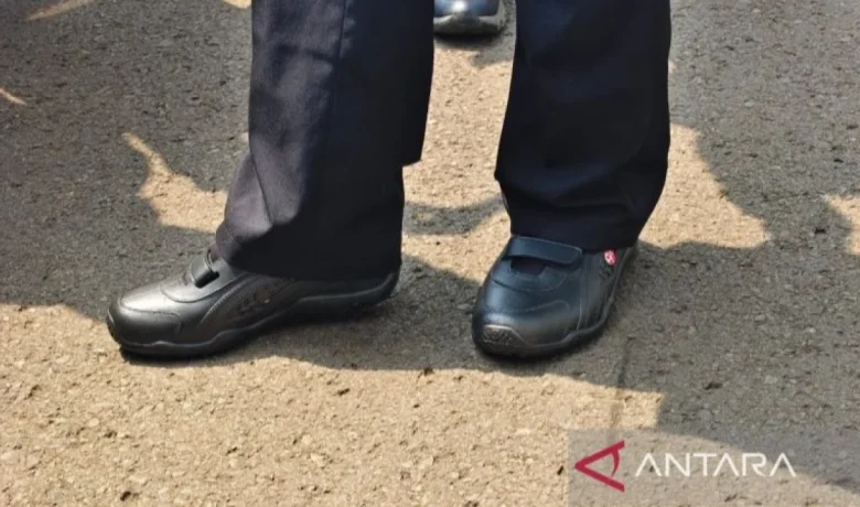 Penampakan Sepatu Harga Rp 75 Ribuan Buatan BRIN