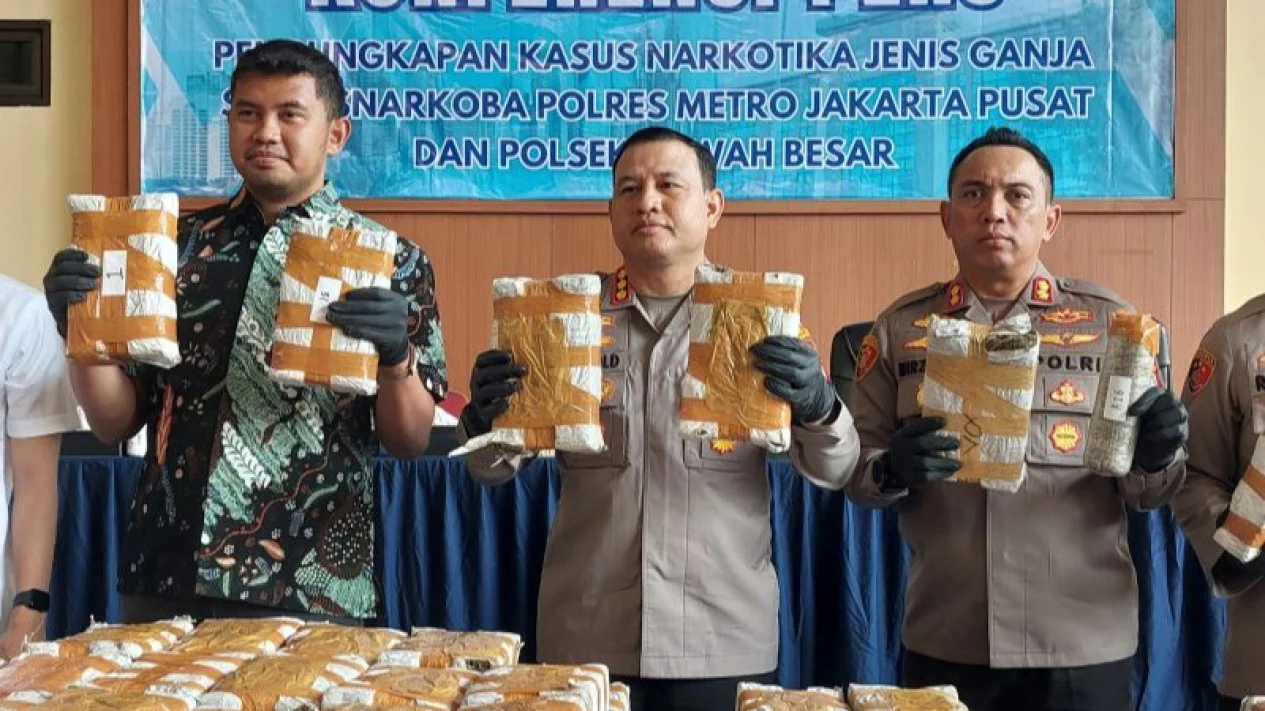 132 Kg Ganja Disita Polres Jakpus Sepanjang Juli 2026, 2 Pengendali Jaringan Narkoba Masih Diburu