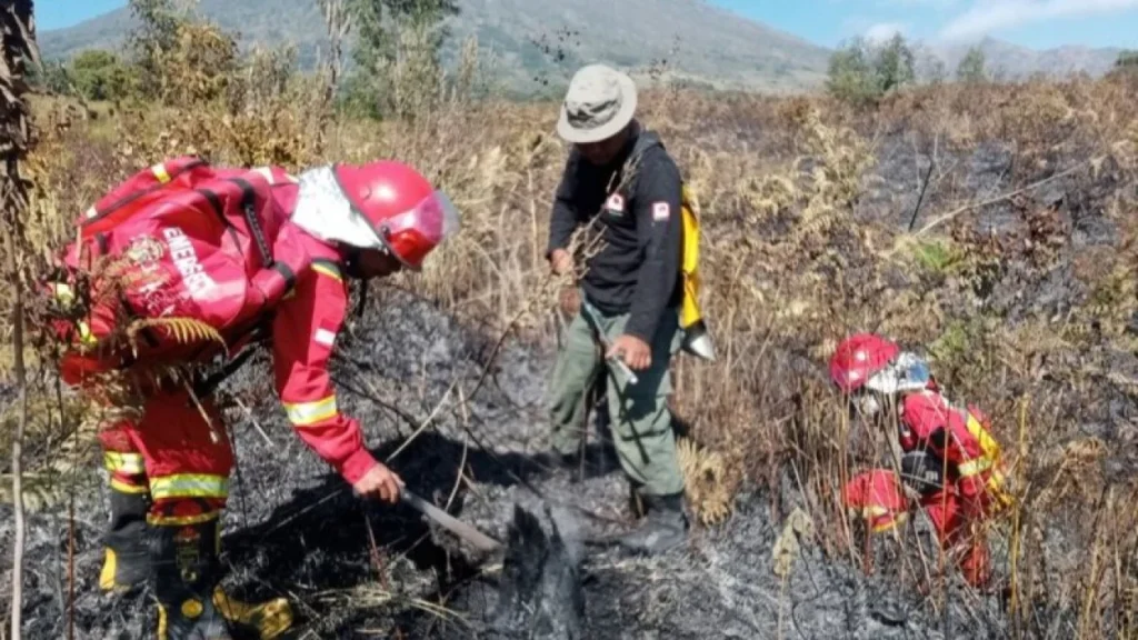 6a77f46ce89ad-petugas-melakukan-penyisiran-dan-pemadaman-sisa-material-yang-masih-berpotensi-menyala-kembali-di-taman-gunung-rinjani_gemini_1265_711