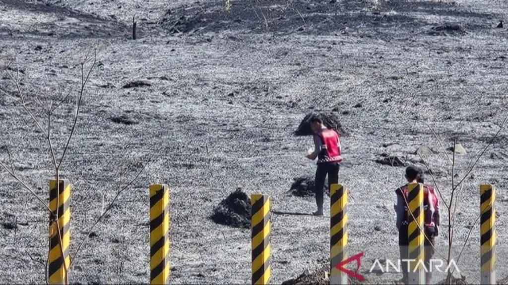 6a78a18479918-personel-kepolisian-mengecek-kondisi-padang-rumput-terdampak-kebakaran-di-gunung-bromo_gemini_1265_711